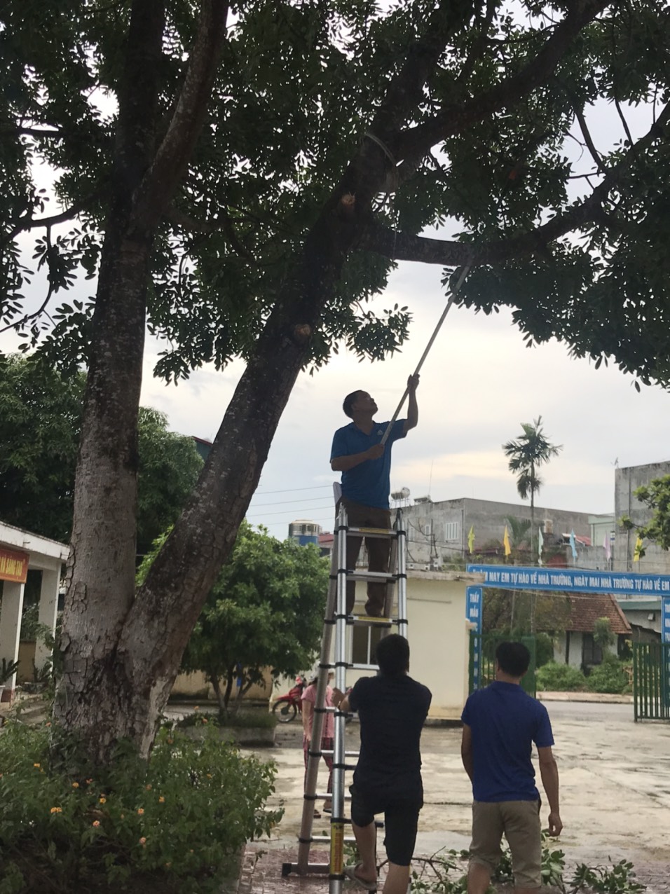 2a487aebed8110df4990