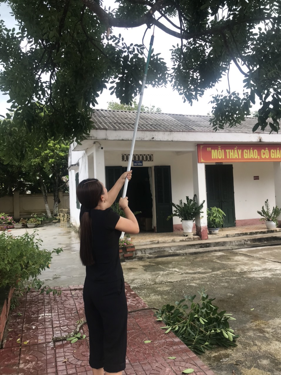 f386a98cafe652b80bf7